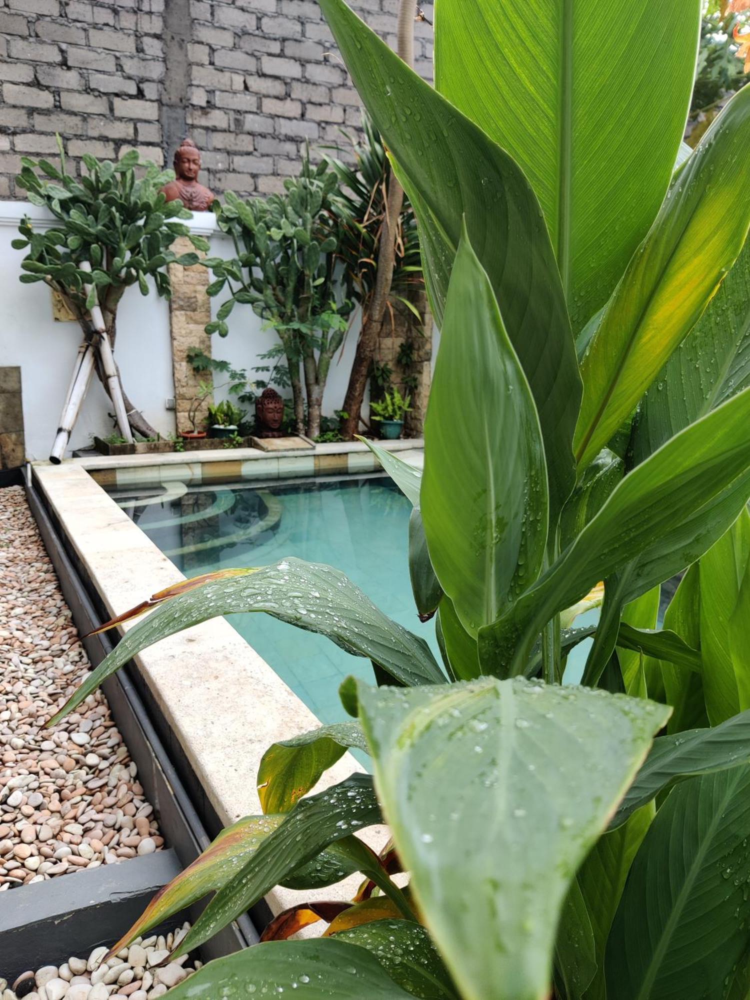Hills House Villa By Globalstay - Jimbaran X Balangan X Gwk Kültér fotó